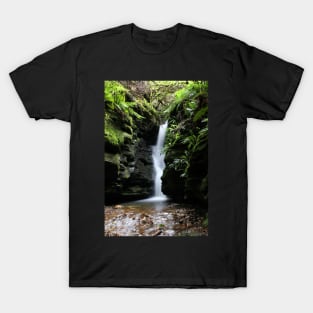 Secret Falls, Tasmania, Australia T-Shirt